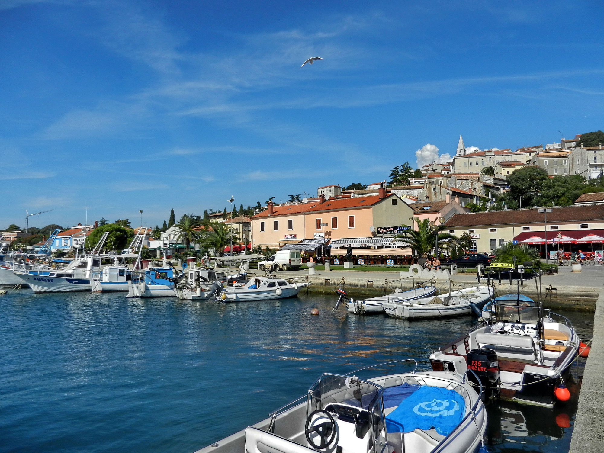 Vrsar
